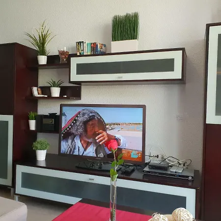 Alt Palmera 2 *